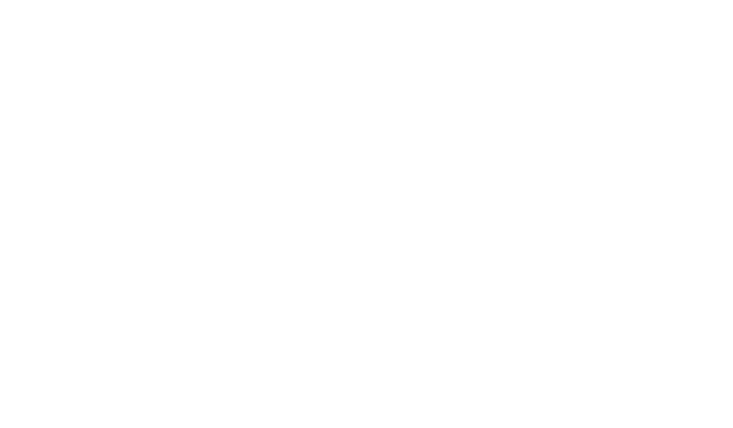 Robyn Beeston Logo White